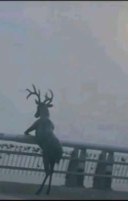 [allfaker] strawberry