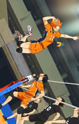 [Allhinata/ABO] Một lần nữa nào, Haikyuu!!