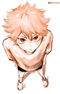 AllHinata | Mặt trời nhỏ.