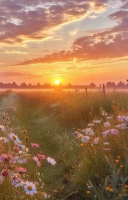 [AllKhang]Câu chuyện tình mơ mộng