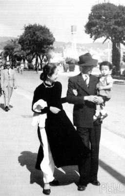 [AllNegav ] Bụi Cau Sau Hè