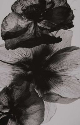 allnut that should be me