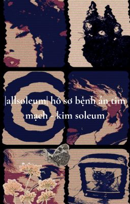 |allsoleum| hồ sơ bệnh án tim mạch của kim soleum