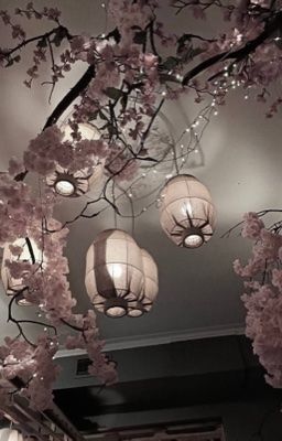 [allzeus] be honest.