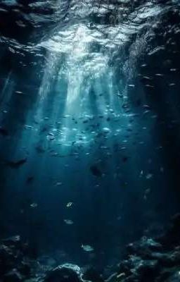 Âm Sắc Biển Cả