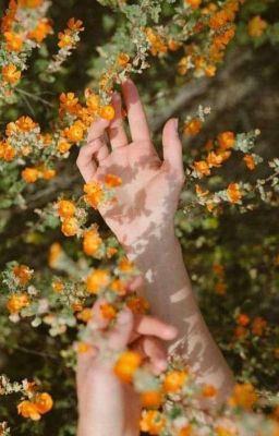 Ametit - Thạch anh tím [ Hiếu x An]