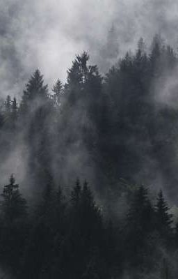 Ánh biếc trong bóng tối