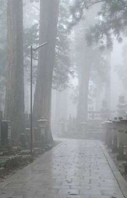 Ánh Lửa Trong Tro Tàn