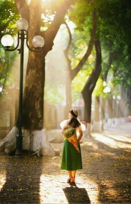 Ánh Nắng Biến Mất