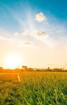 Ánh Sáng Sau Khói Lửa ( LỬA TRẬN )