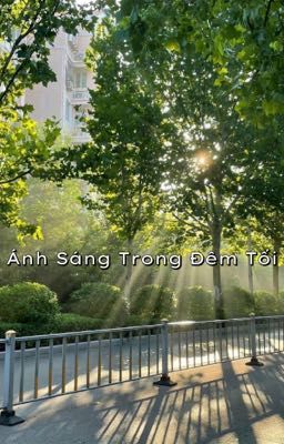 Ánh Sáng Trong Đêm Tối