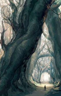 Ánh sáng trong tên gọi