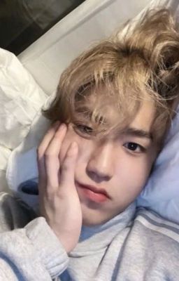 Anh thích em, rất rất thích em | Han Jisung X Y/N