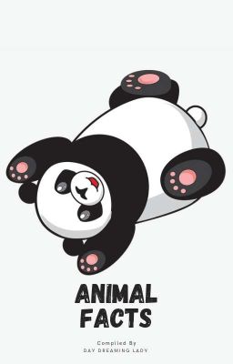 Animal Facts 