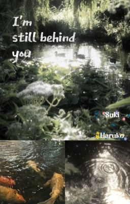 [animexreader] orange 