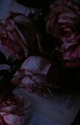 Ảo ảnh [SơnBình/ABO/Drop]