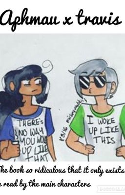 Aphmau x  Travis    The book only made as a joke