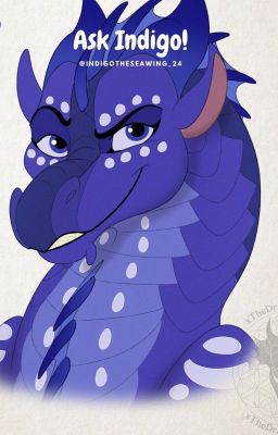 Ask Indigo