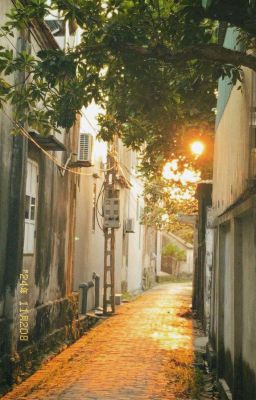 atsh | bảo ghét mắc gì bú mỏ nhau?