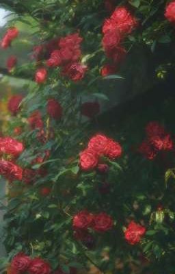 [atsh2/bmas] A LITTLE SECRET