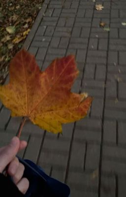 atsh2 | codynam | pin dự phòng.