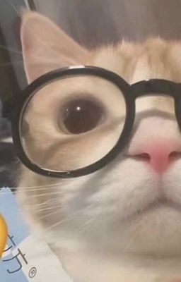 [ATSH2] Love Game☆彡