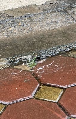 | atsh2 | lùm xùm lùm xùm?