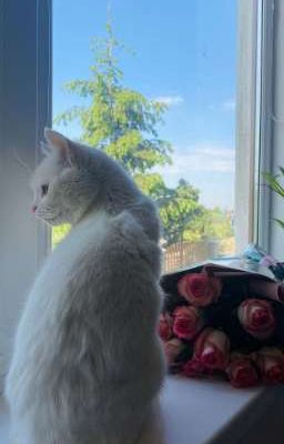 atsh2 ; relationshit