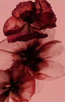 [ATSH2_Textfic] Sương mờ