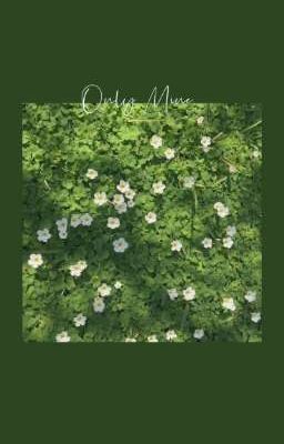 [AtsuAku] Only Mine