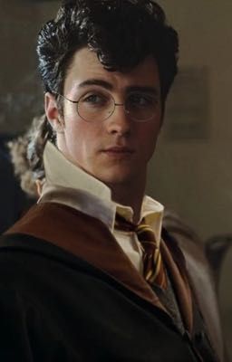 AVADA KEDAVRA - JAMES POTTER