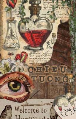 b&c *ੈ✩‧₊˚ chiếu tướng •hogwarts au•