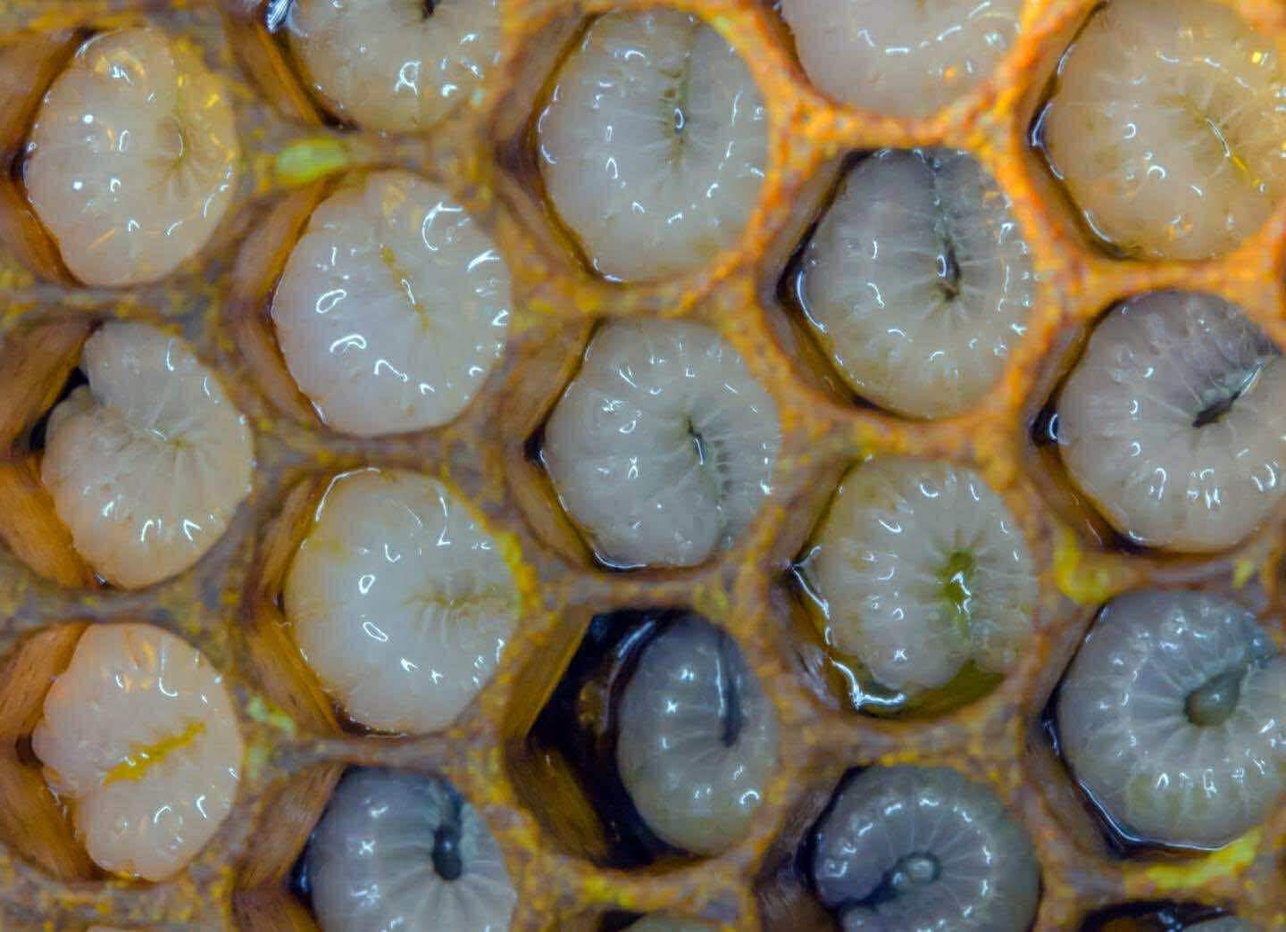 68747470733a2f2f73332e616d617a6f6e617773