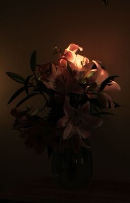 Bắc Khang 𐙚 drunk text