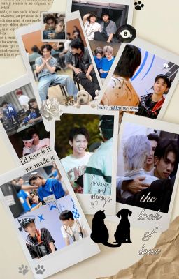bạch quang vĩ niên | the look of love 