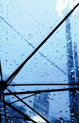 [bách vũ] chia tay;