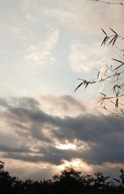 Back To You /KazuScara