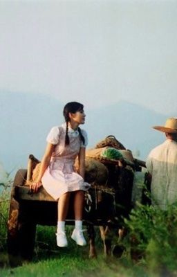 bài giảng số 202.