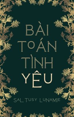 Bài toán tình yêu (HP đồng nhân)