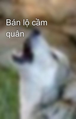 Bán lộ cầm quân