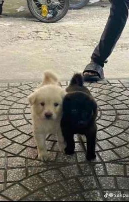 Bạn mạng của tui ngồi ngay bàn bên