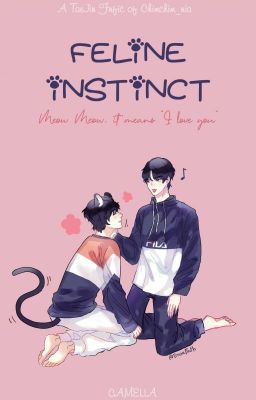 Bản Năng Loài Mèo ✔️