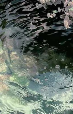 Bản tình ca lừa dối 