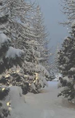 bảo giang // em như là.