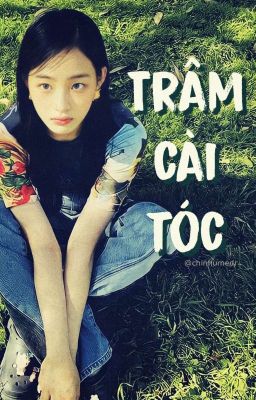 [Bbangsaz] | Trâm cài tóc 