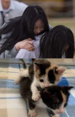 bbangsaz - yêu đương kiểu gì thế?