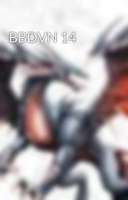 BBDVN 14