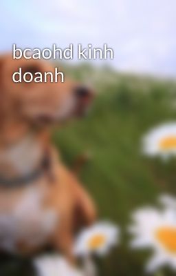 bcaohd kinh doanh