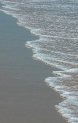 🐻 bengi | your love