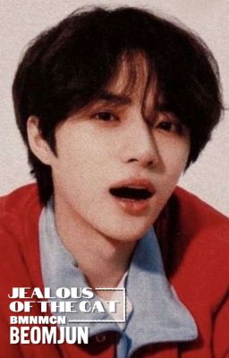 beomjun; ghen với con mèo